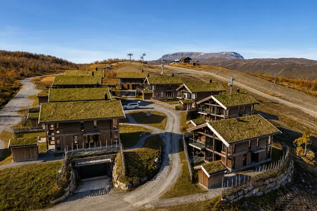 Aerial view of the Kikut area in summer